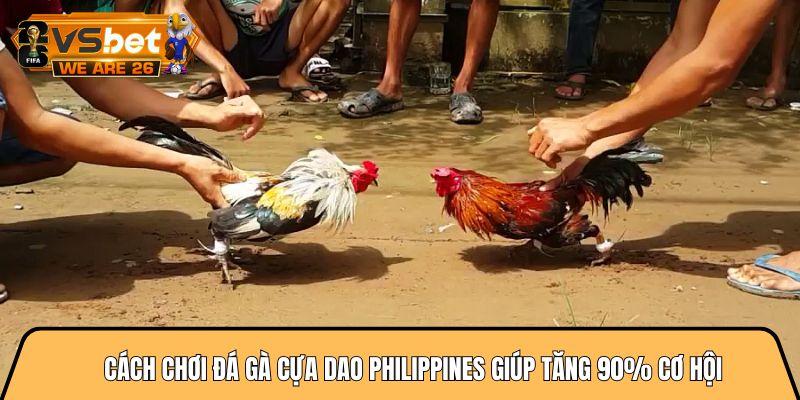 Cách chơi đá gà cựa dao philippines giúp tăng 90% cơ hội 2 Cách chơi đá gà cựa dao philippines